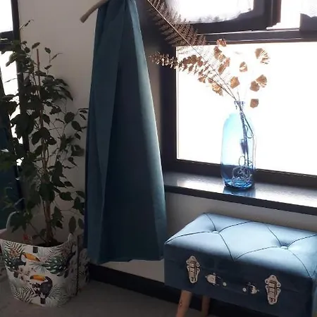 Appartement Et En Centre Sur *