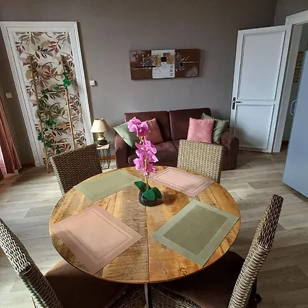 Appartement Et En Centre Sur